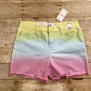 Dip Dyed Judy Blue Cut Off Short - L